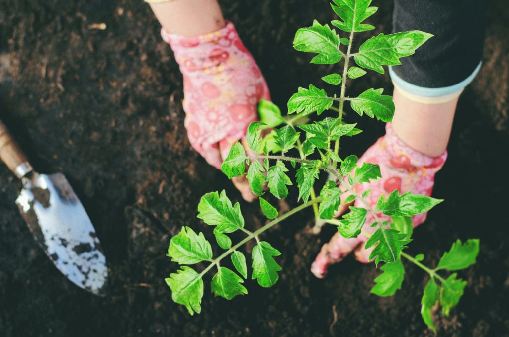 Potagers